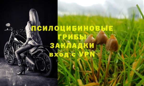 MESCALINE Баксан