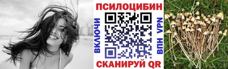 Галлюциногенные грибы GOLDEN TEACHER Льгов